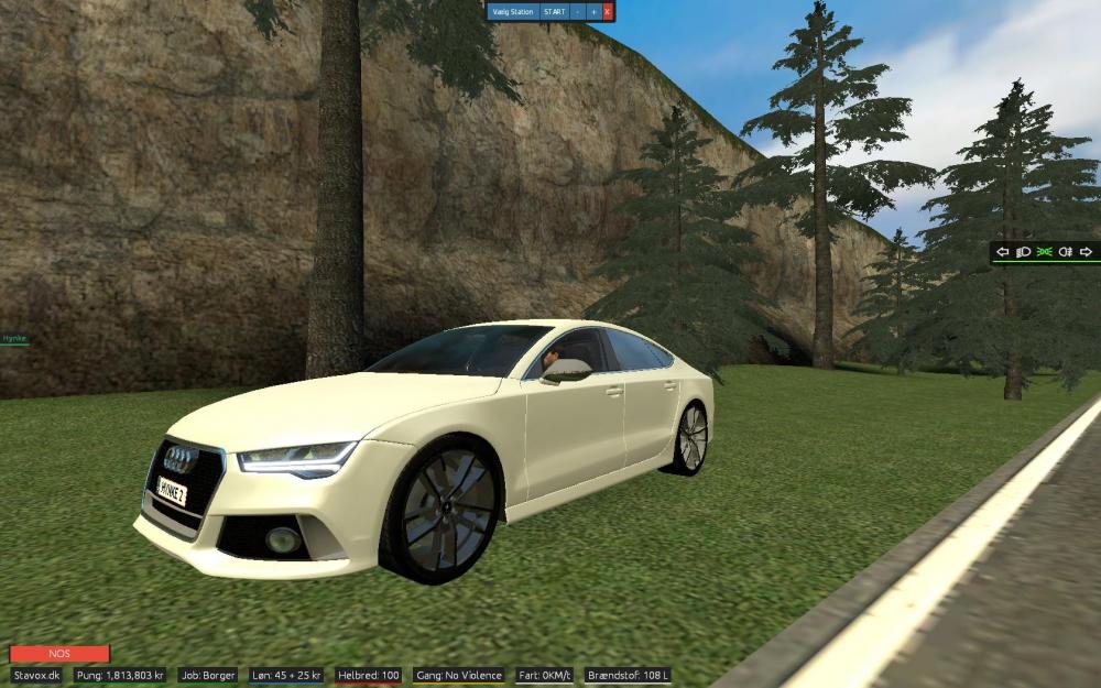 Audi bug.jpg